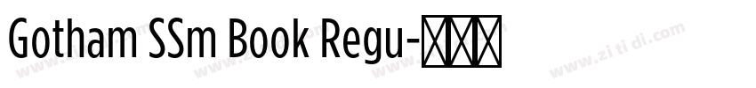 Gotham SSm Book Regu字体转换